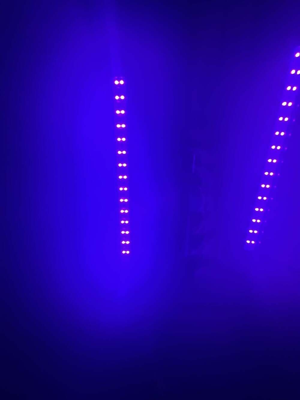 EcoSmart LED Black Light and Purple Flood Light Bulb Bundle with UV LED Bars